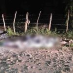 Los cuerpos de cuatro jóvenes asesinados fueron abandonados en Palenque, Los Ríos