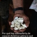 Por qué hay un exceso de oferta de hoja de coca y cocaína en América Latina 