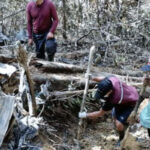 Hallan restos de víctimas de helicóptero siniestrado en Pastaza