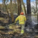 Procesado por incendio forestal y de vegetación en Cuenca