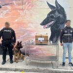 Policía incauta 857.45 gr de cocaína que tenia como destino llegar al extranjero