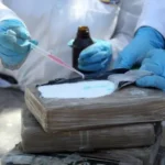 Caso Jaguar: 13 personas son llamadas a juicio