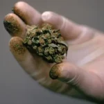 Sentenciado por tráfico de drogas en mediana escala