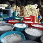 Ejércitos de Colombia y Ecuador destruyen laboratorio de cocaína en frontera común