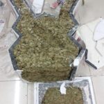 Operativo policial permitió la aprehensión de un sujeto por tráfico ilícito de sustancias catalogadas sujetas a fiscalización en Tulcán