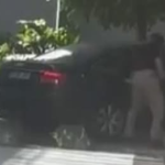 Alunizaje en Parquesur a plena luz del día: un coche se empotra contra una joyería y el ladrón se lleva todo el material expuesto