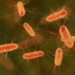 Convierten residuos plásticos en paracetamol con la ayuda de una bacteria modificada