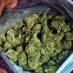 Prisión preventiva para 2 procesados por presunto tráfico de drogas en alta escala