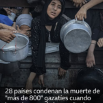 Más de 25 países condenan las “horribles” muertes de cientos de palestinos mientras buscaban ayuda humanitaria y piden a Israel el fin de la guerra en Gaza