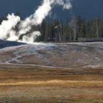 Temor ante erupción de supervolcán: un gran número de animales huye repentinamente de Yellowstone