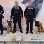 Incautamos más de 13.000 dosis de cocaína líquida en agencia de courier en Quito