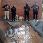 Acciones operativas frustran tráfico de droga valorada en medio millón de dólares