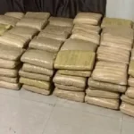 Prisión preventiva por presunto tráfico de 323 kilos de marihuana