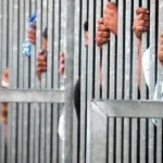 9 sentenciados por delincuencia organizada