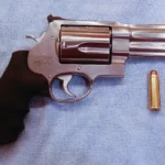 Sentenciada a 16 años de prisión por tráfico ilícito de armas de fuego