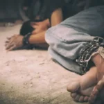 6 presuntos integrantes de ‘Los Lobos’ son procesados