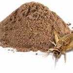 Incorporan proteína de insecto en productos lácteos pasteurizados y brownies para avanzar hacia una alimentación más sostenible