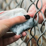 9 años de prisión contra 2 procesados por tráfico de drogas