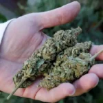 Sentenciada a 29 años por tráfico ilícito de sustancias en alta escala