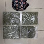 Resultados contundentes contra el microtráfico