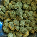 Prisión preventiva para 2 presuntos integrantes de ‘Los Lobos’ por tráfico de drogas