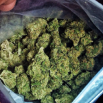 Sentenciado a 5 años de prisión por tráfico ilícito de sustancias en mediana escala