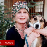 Muere a los 91 años Brigitte Bardot, el ícono del cine que abandonó su carrera para dedicarse a los derechos de los animales
