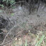 Lo arrastraron con un soga para después ejecutarlo con disparos