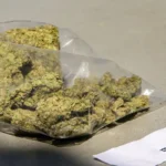 3 presuntos integrantes de ‘Los Lobos’ son procesados