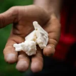 4 sentenciados a la pena máxima agravada por tráfico de drogas