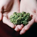 Sentenciado mediante procedimiento abreviado por tráfico de drogas