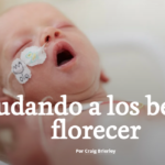 Ayudando a los bebés a florecer