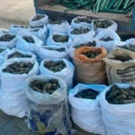 5 procesados por presunto tráfico de drogas