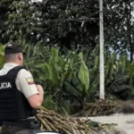 Conmoción en El Oro: Padre e hijo, víctimas de ataque armado en Pasaje