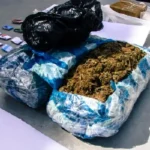 Procesado por presunto tráfico de marihuana en Quevedo