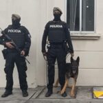 Frustramos envió de cocaína oculta en encomiendas hacia Europa