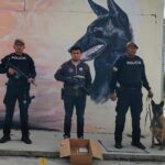 Frustramos envío de encomiendas contaminadas con cocaína al extranjero