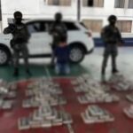 Afectamos a las economías criminales con el decomiso de 157.712 gramos de cocaína en Napo
