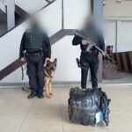 Interceptamos paquete contaminado con droga