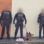 Evitamos el envío de 8.330 dosis de cocaína a Australia tras alerta de can detector RÍO