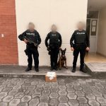 Frustramos envío de droga oculta en café