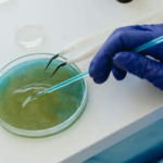 La UNAM descubre bacteria que permite degradar el plástico en tiempo récord