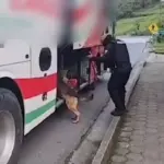El insólito escondite de una carga de marihuana al interior de un bus de pasajeros