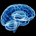 El daño a la sustancia blanca del cerebro puede desempeñar un papel clave en las enfermedades neurodegenerativas y podría ser un objetivo para futuros tratamientos.
