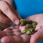 Llamado a juicio por presunto tráfico de drogas en alta escala