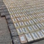560 bloques de sustancias sujetas a fiscalización decomisadas en Samborondón
