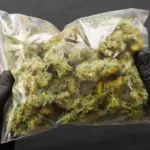 Fiscalía obtiene ratificación de sentencia por tráfico de drogas