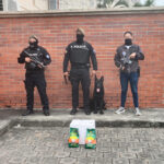 Frustramos el envío de 19.000 dosis de cocaína ocultas en una encomienda con destino a Países Bajos