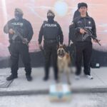 Evitamos envío de cocaína a Estados Unidos mediante encomienda