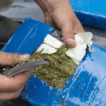 Fiscalía procesa a 8 personas por tráfico de drogas a gran escala